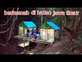 Download Lagu camping di hutan jawa timur
