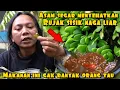 Download Lagu RUJAK SISIK NAGA LIAR OBAT SEGALA MACAM PENYAKIT