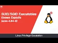 Executables - Known Exploits exim-4 84-3 Linux PrivEsc