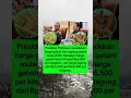 Download Lagu prabowo naikkan harga gabah petani jadi Rp6.500 per kg dan jagung jadi Rp5.500 per kg mulai 2025