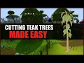 Quick Guide To Obtaining Teak Logs In OSRS