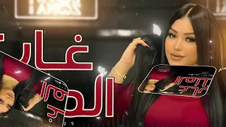 غاب الملك كل قرد يلزم شجرتو  دنيا الالفي    محمد عبسلام      دندنها