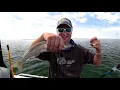 Download Lagu IFISH Western Port King George Whiting