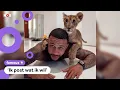 Download Lagu Memphis Depay reageert op kritiek op foto met lijger