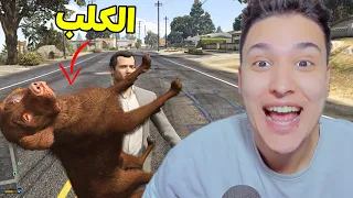 سرقة الكلب فى قراند 5 😱 الشرطة بتجري ورايا