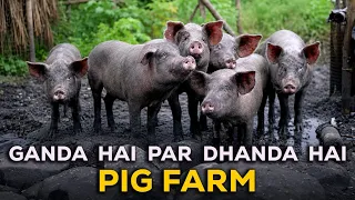 Pig farm mein ghus ke pig rescue