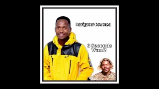 navigator gcwensa 3 seconds wani official audio 