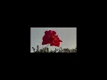 Pediste Flores - Zenón Pereyra