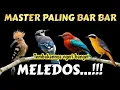 Download Lagu Meledoss❗MASTER BURCIL FULL TEMBAKAN ISTIMEWA