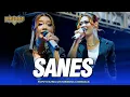Download Lagu SANES - Puput Fazria - OM NIRWANA COMEBACK Live Bareng Jombang