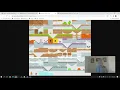 Updated Tiled levels in Python Arcade - 1