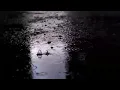 Download Lagu Echo Sax No.4 [3-Hours + Rain]