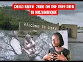 Lagu ROSITA 2000 (RAIN) BORN ON TREE DIED MOZAMBIQUE | STRONG RAIN | MATRIC RESULTS
