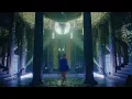 🇳🇴 : 🇸🇪 : 🇫🇮 :: Broiler x Sofiloud - OMG :: Replacement Video