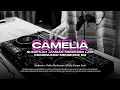 Lagu DJ SUDAHLAH JANGAN MENANGIS LAGI | CAMELIA X INDOBOUNCE MENGKECE BOOTLEG