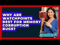 Why Are Watchpoints Best For Memory Corruption Bugs - Learn To Troubleshoot