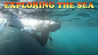 Exploring Sea at Cabrillo Harbor on Catalina Island and Meeting Emerald Steel