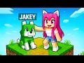 Download Lagu NOUL meu CATELUS *SECRET* in Minecraft!😱