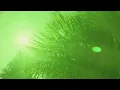 Calvin Harris - Slide (Official Audio) ft. Frank Ocean, Migos