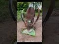 Best Animal Traps