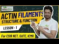 Actin filaments structure and function Microfilaments actin filaments assembly and disassembly