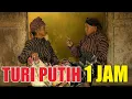 Download Lagu Turi Putih | Turi Putih 1 Jam Full