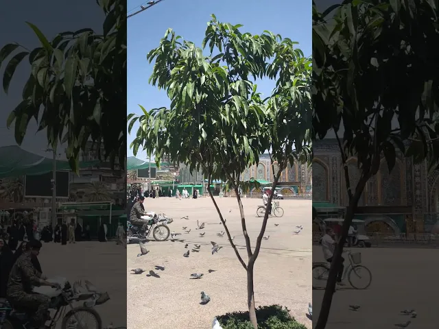 ⁣زرنا عنكم ودعونا لكم بقضاء حوائجكم كلها أن شاء الله تعالى