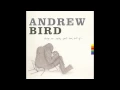 Andrew Bird - Giant of Illinois
