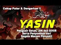 Download Lagu Surah Yasin Pengusir Setan dan Penyembuh Segala Penyakit, Ngaji Merdu Alaa Aqel
