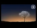 Armen Miran - Be Svendsen -  DAVI - Bedouin - Nu - Duologue 《 SEQUOIA 》 Organic House, Melodic House