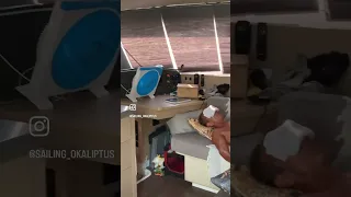 #boatlife #sailinglife #sailingokaliptüs #sailingokaliptus #med #summerheat #heatwave #poorbaby