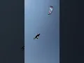 How to start your kitesurfing session! 😱🤯