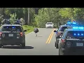 Escaped Emu leads police on 20-mile chase in Roane County