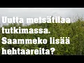 Download Lagu Kävimme tutkimassa myytävää metsätilaa. Saimmeko lisää hehtaareita?