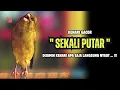 Download Lagu Suara PANCINGAN Burung KENARI Gacor Panjang || Suara PANCINGAN Kenari Belajar Bunyi Ngeriwik