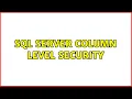 SQL Server column level security 2 Solutions