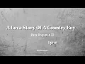 Download Lagu A Love Story Of A Country Boy - Park Bogum \u0026 IU (Lyric)