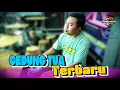 Download Lagu Gedung Tua – Roro Derisa | Live New Astina PM Audio Ponorogo | Penonton Heboh!