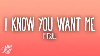 Pitbull I Know You Want Me Calle Ocho 