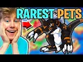 My Top 5 RAREST and BEST PETS In PRODIGY