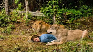 she collapsed in the forest saved only by the wolf and lion