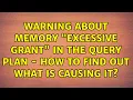 Warning about memory Excessive Grant in the query plan - how to find out what is causing it