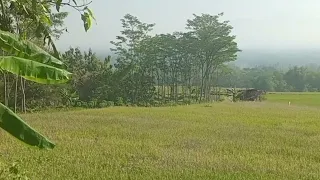 tembang kangen cover duet dengan sasa meylawati