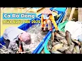 Download Lagu Mùa Nước Nổi 2025 – Cá Đồng Theo Dòng Mekong Tràn Ngập Cánh Đồng Núi Sam Châu Đốc