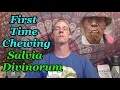 My First Time Chewing Salvia Divinroum Trip Report Story Time