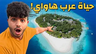 كيف يعيش العرب في جزيرة هاواي         سنة فيها   دندنها