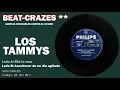 Los Tammys - Anochecer de un día agitado