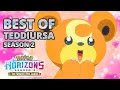 Teddiursa s Best Moments Pokemon Horizons Season 2