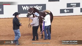 2025 Select 2 Year Old Stallions World Champion 