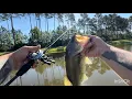 BFS BASS FISHING WITH THE KASTKING KESTREL